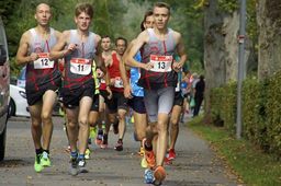 WLV-Team-Lauf-Cup 2017, Finale in Nagold